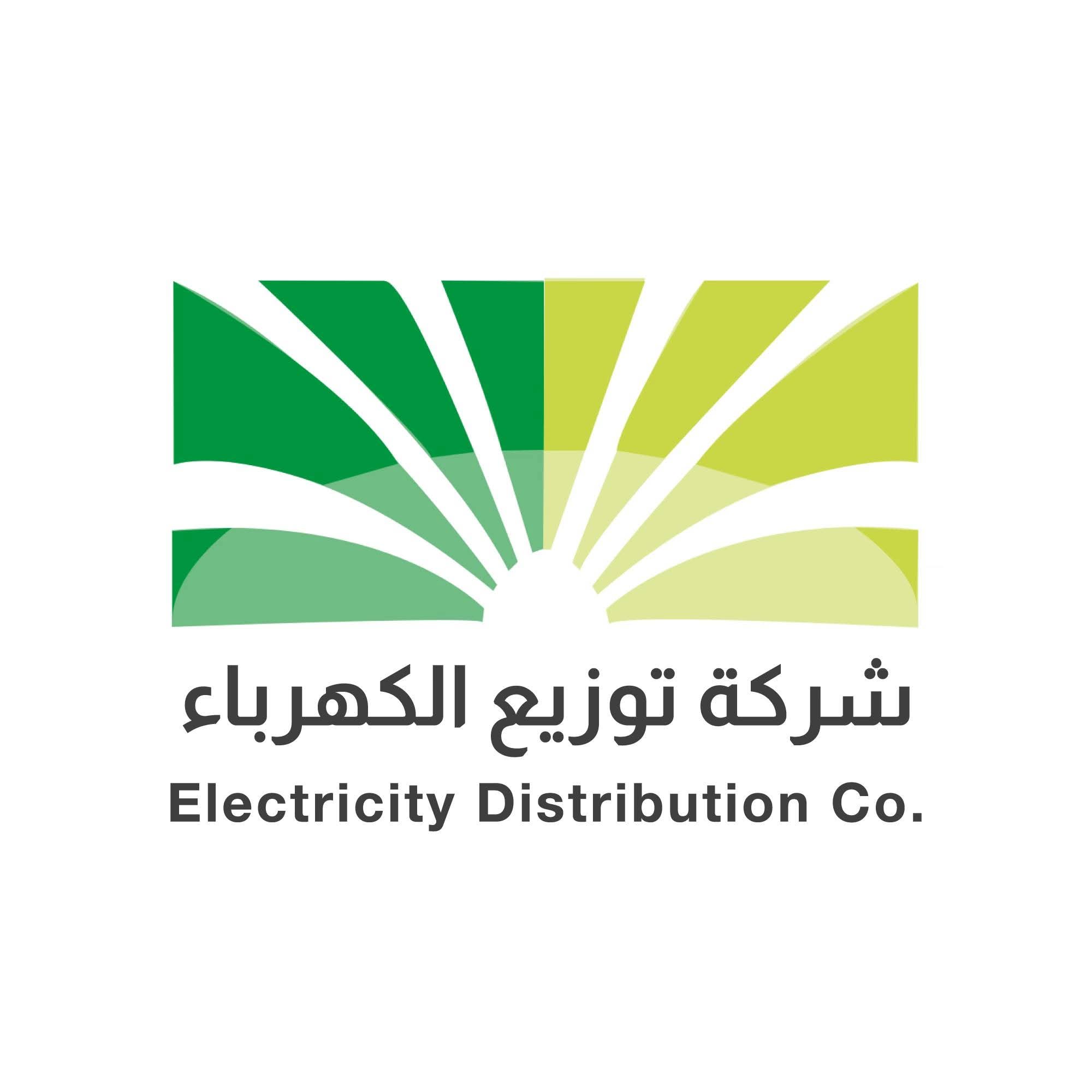 شركه توزيع الكهرباء المشارع