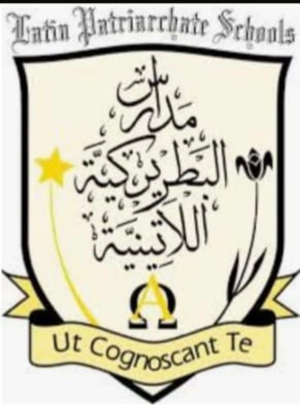 مدرسة البطريركية اللاتينيه /تلاع العلي