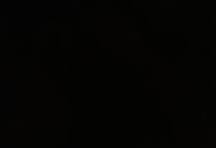 اسم المؤسسة