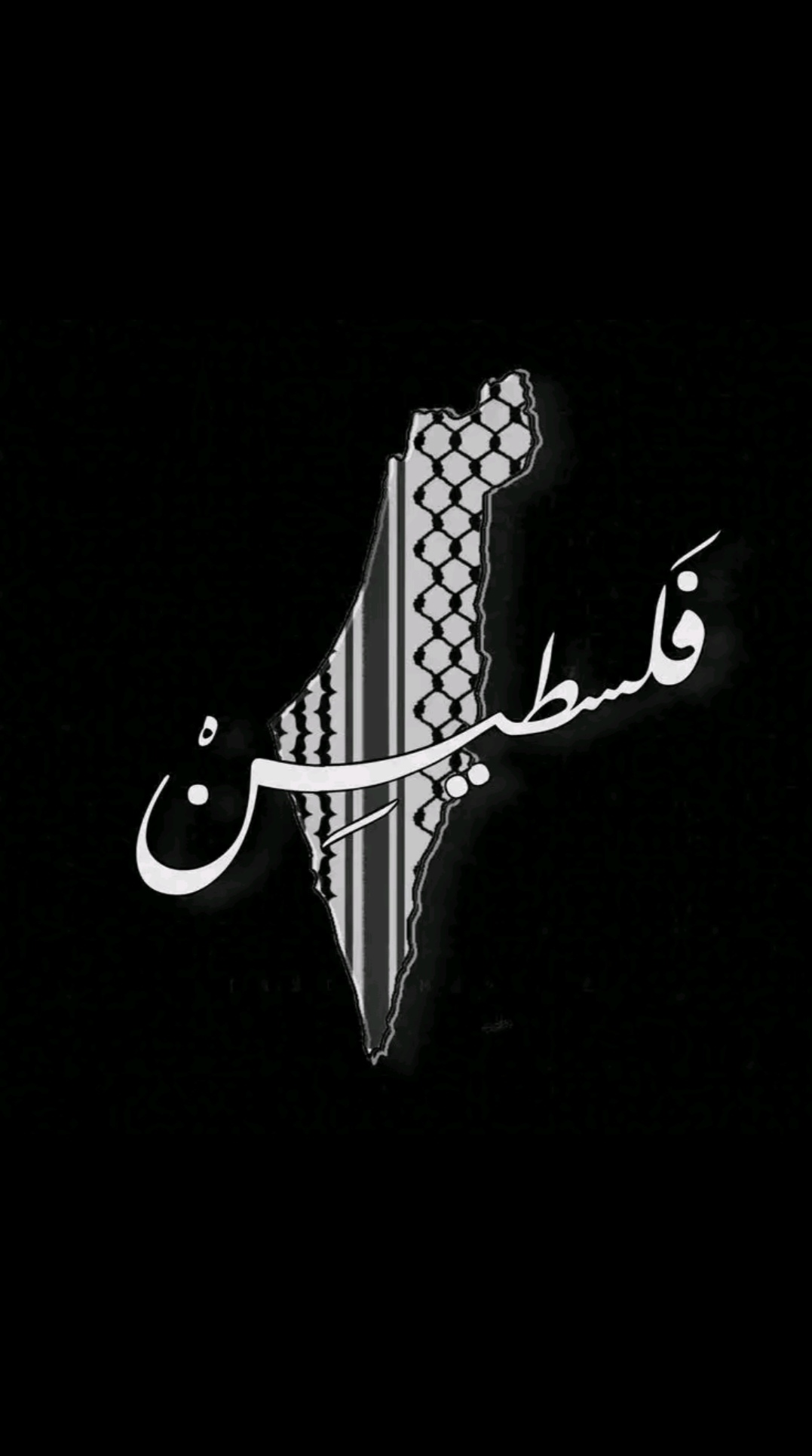 فلسطين محمد عميرة