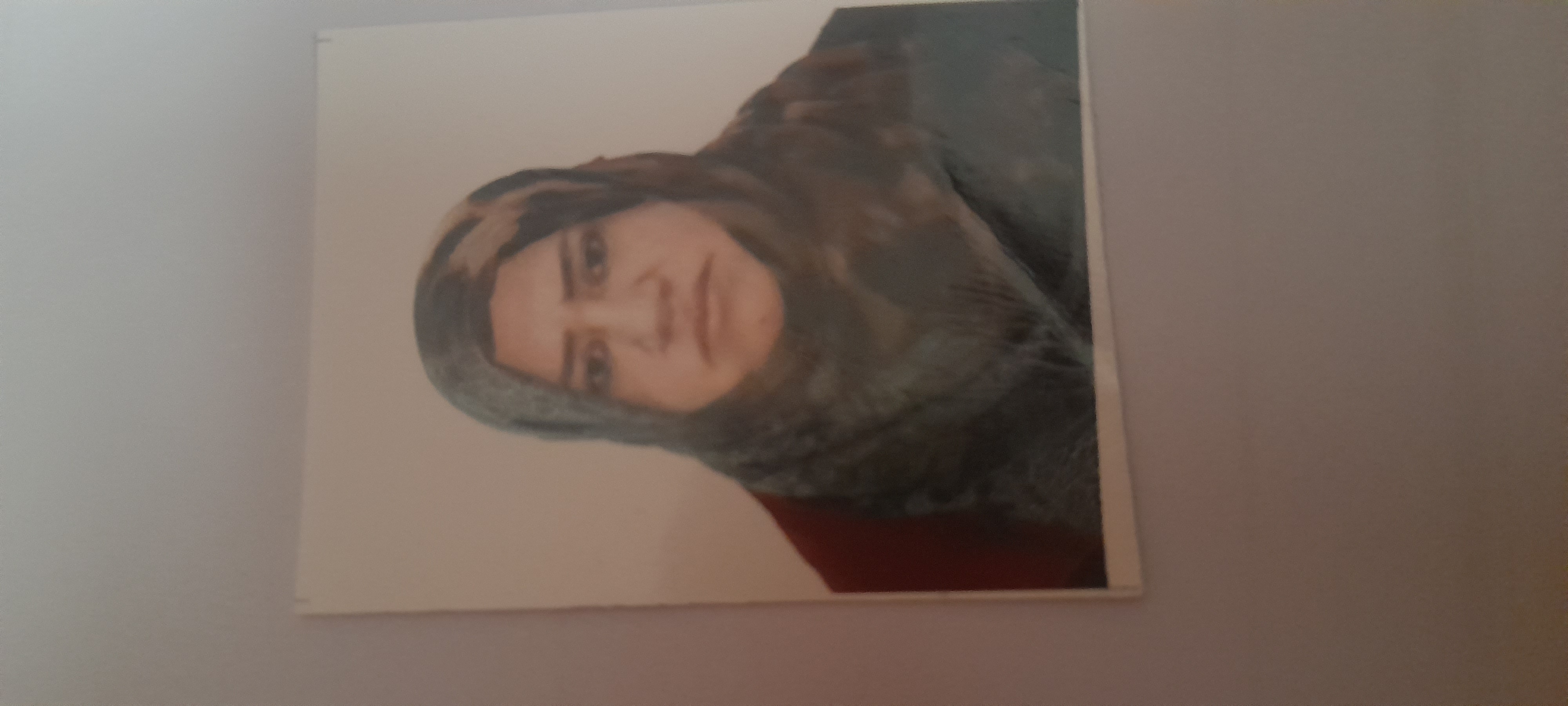 هدى صالح الحجات